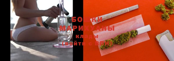apvp Бородино