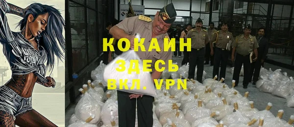шишки Бронницы