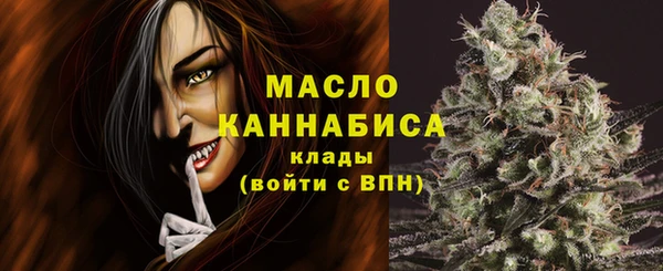 apvp Бородино