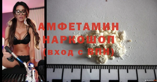 apvp Бородино