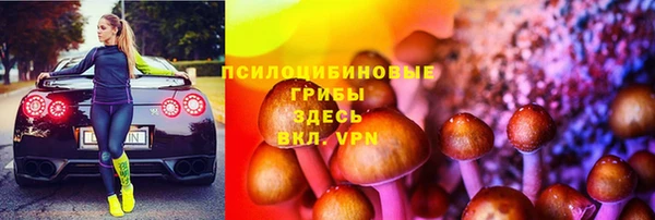 шишки Бронницы